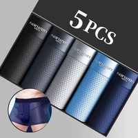 Sous-vêtements sexy pour hommes, slips en maille respirante, slips documents solides, boxer fin, boxer confortable, trou en bambou, grande taille, 5 pièces 1
